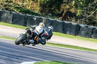 Oulton-Park-20th-March-2020;PJ-Motorsport-Photography-2020;anglesey;brands-hatch;cadwell-park;croft;donington-park;enduro-digital-images;event-digital-images;eventdigitalimages;mallory;no-limits;oulton-park;peter-wileman-photography;racing-digital-images;silverstone;snetterton;trackday-digital-images;trackday-photos;vmcc-banbury-run;welsh-2-day-enduro